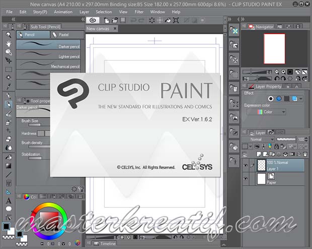 clip studio paint license verification